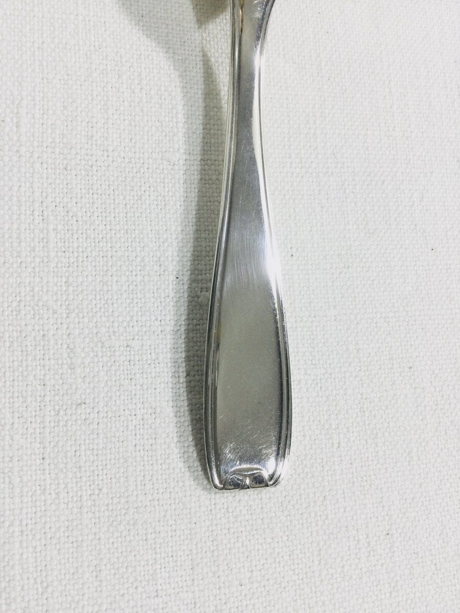 François frionnet -12 spoons in moka