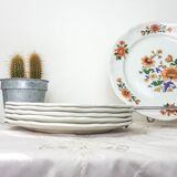 Set of earthenware plates
