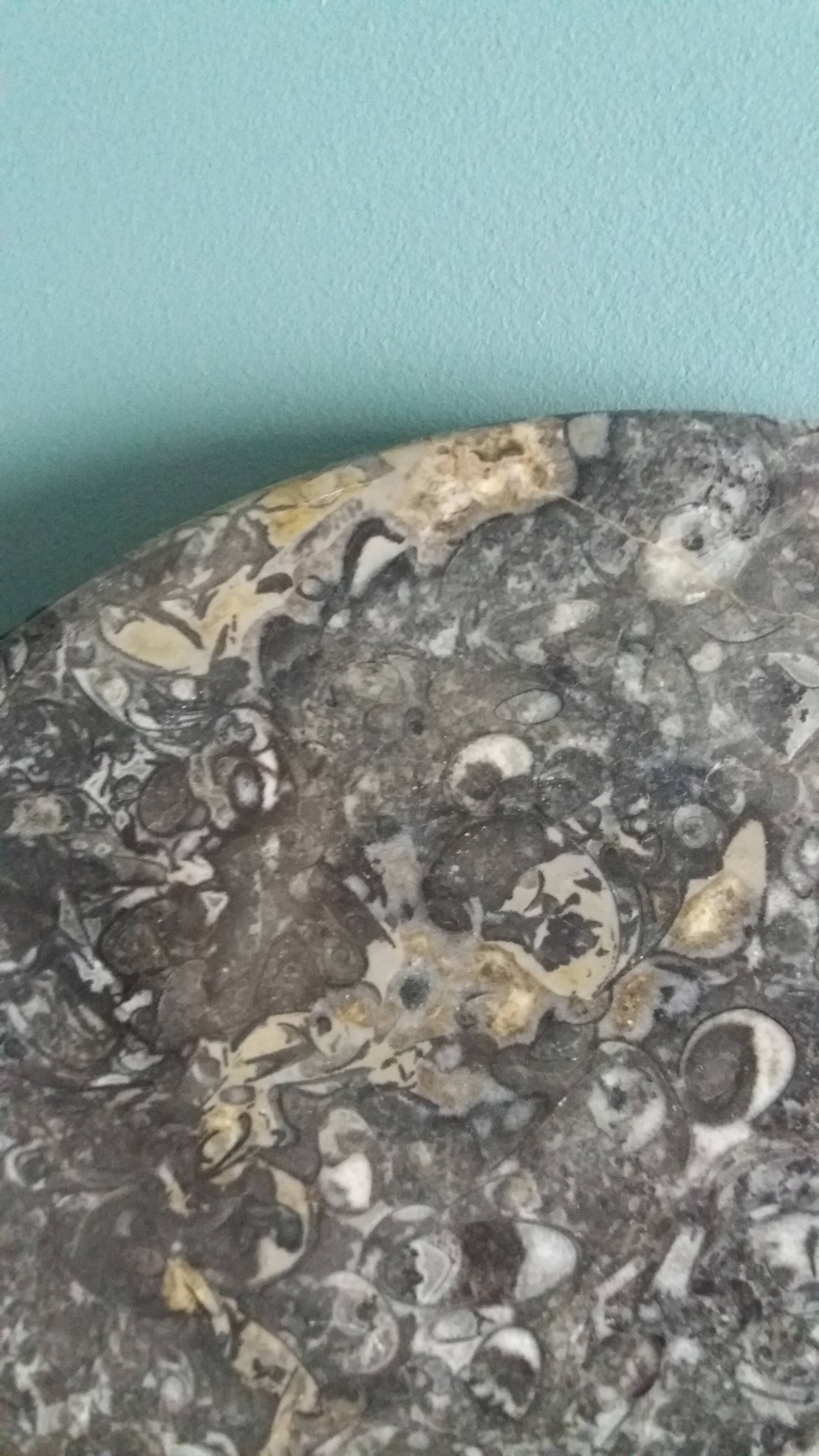 Marble trinket tray with ammonite fossil