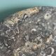 Marble trinket tray with ammonite fossil