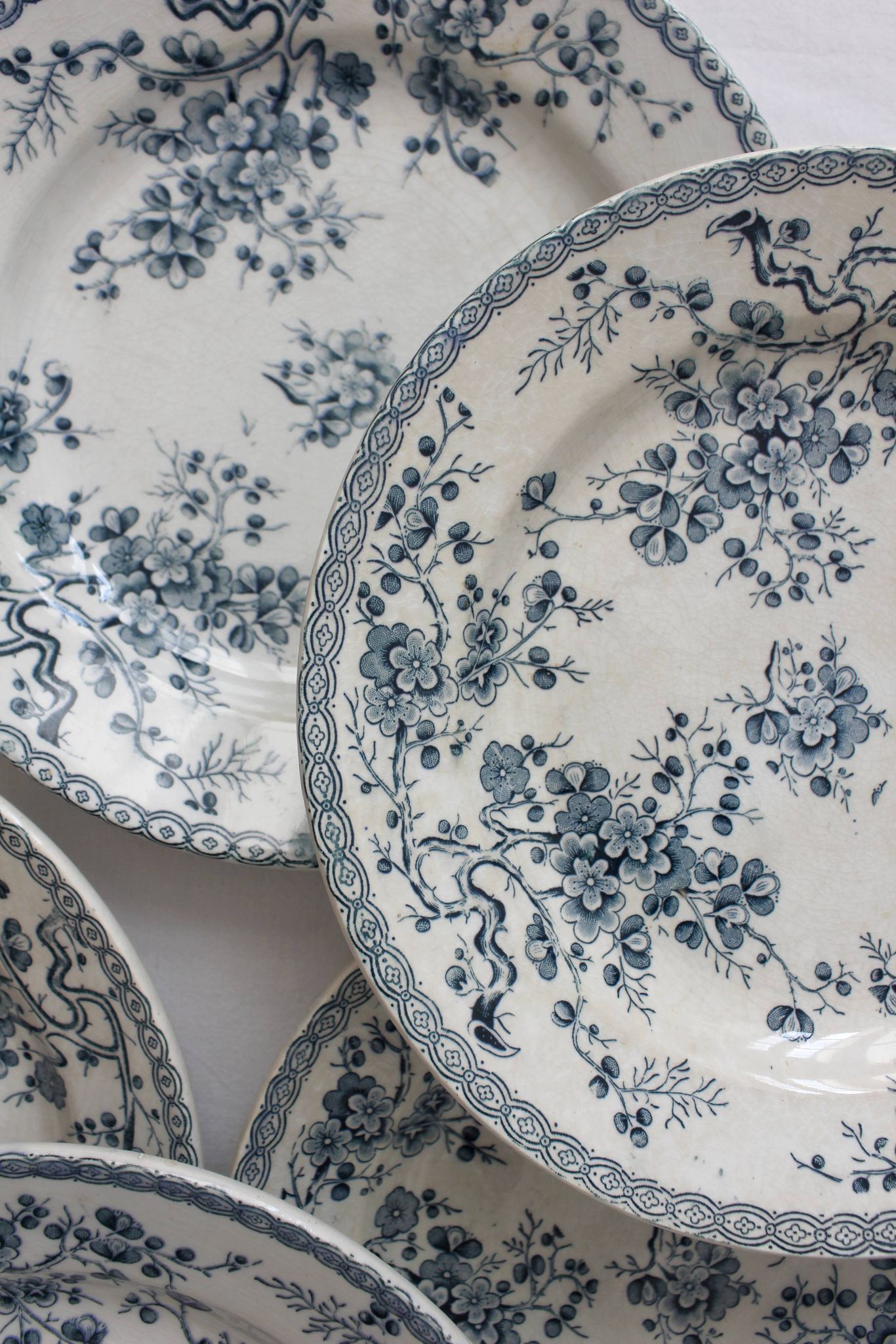10 flat plates in iron earth "Fleurette" Gien gold medals