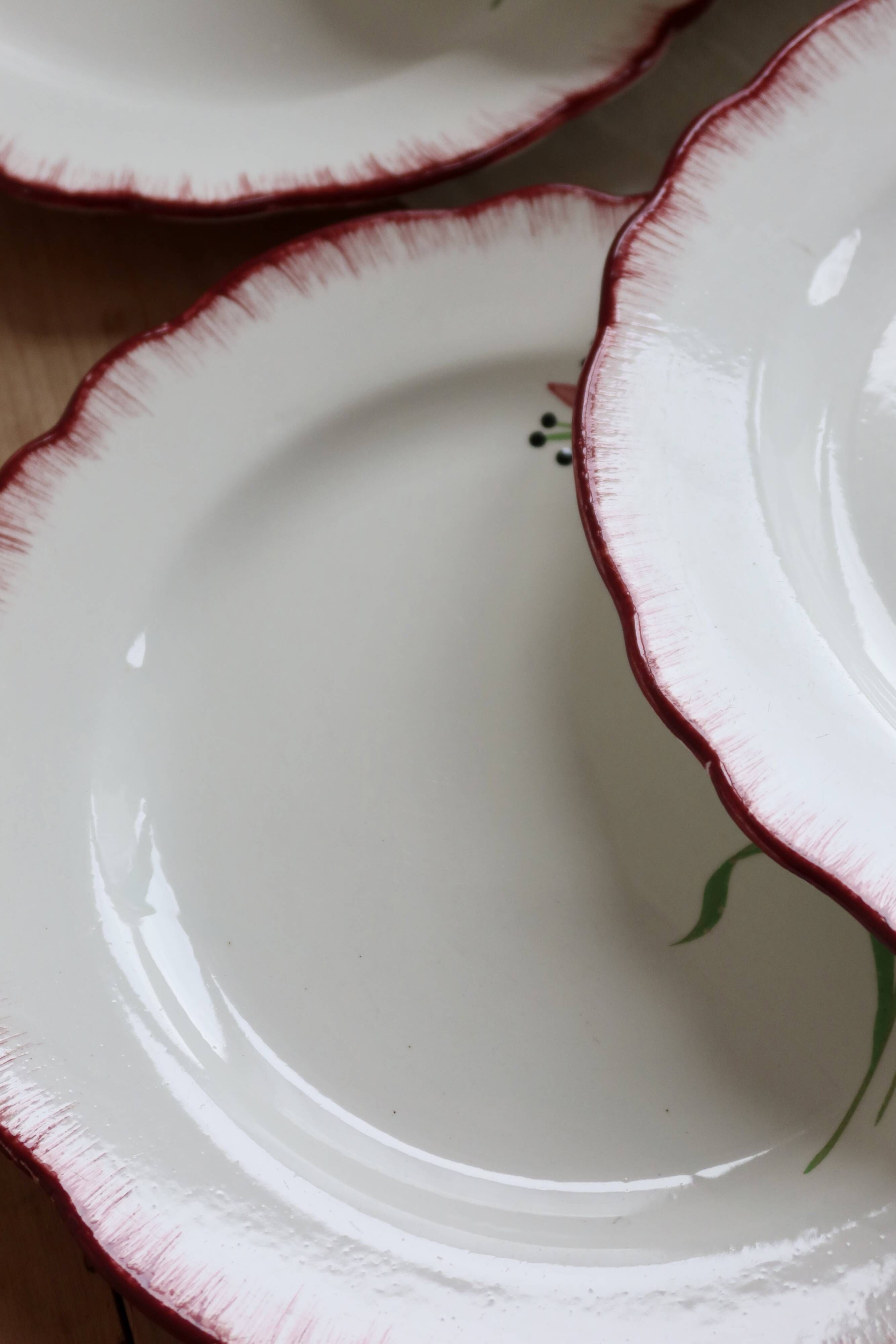 6 vintage ironstone dinner plates Salins model Pierrette