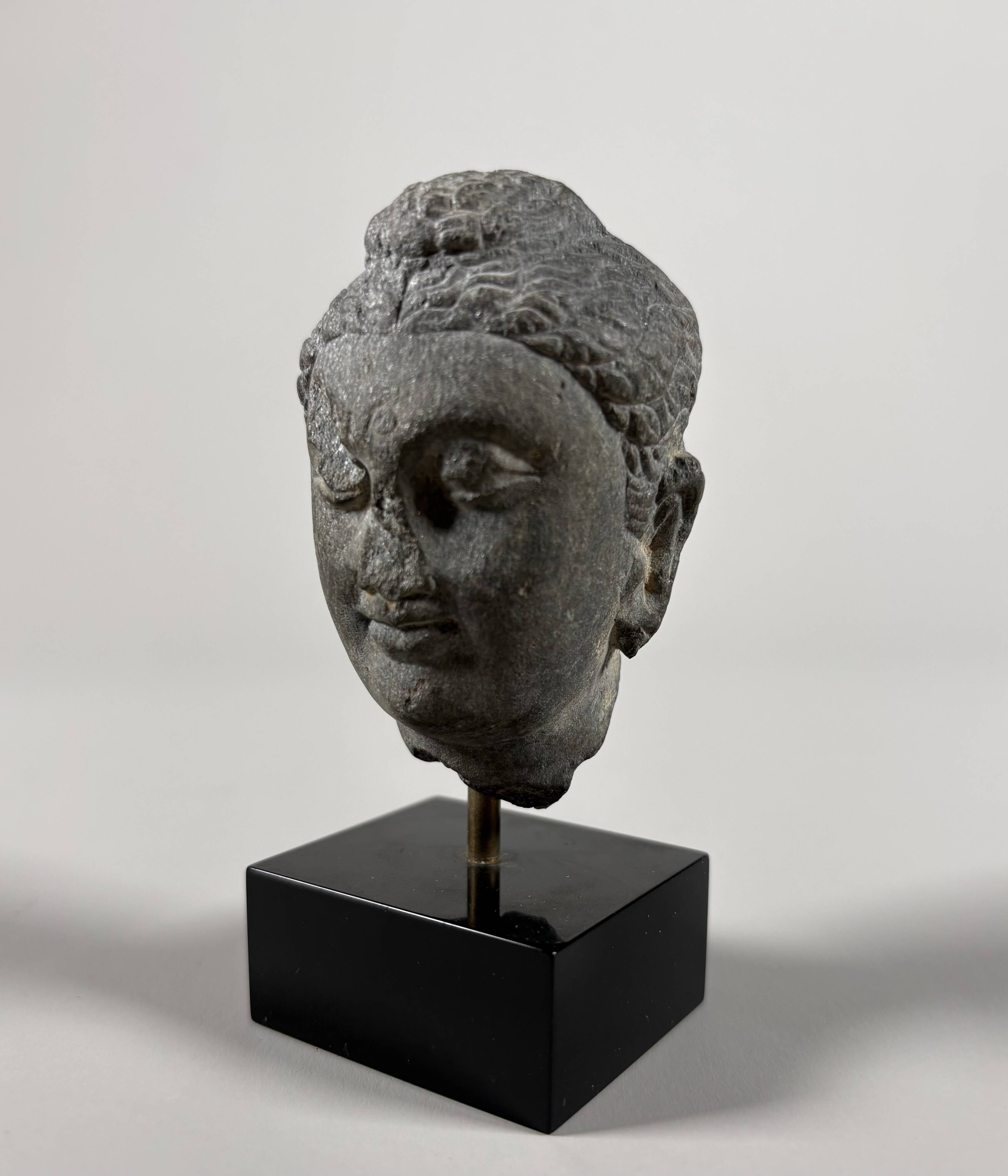 Sculpture of a Buddha head in grey schist from Gandhara, ancient Greece.