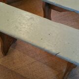 Pair of benches rustic early twentieth