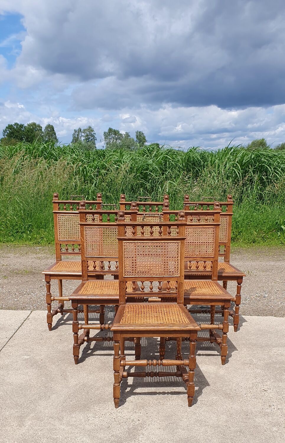 Antique set 6 - cane chair oak