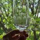 8 flûtes champagne en cristal taillé côtes plates