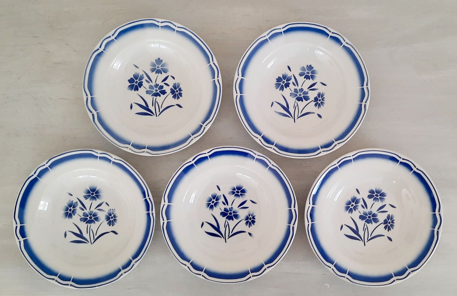 Hollow earthenware plates fb Badonviller décor vintage blueberries