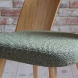 Set of 10 Mid Century Dining Chairs by A. Šuman, Reupholstery Options