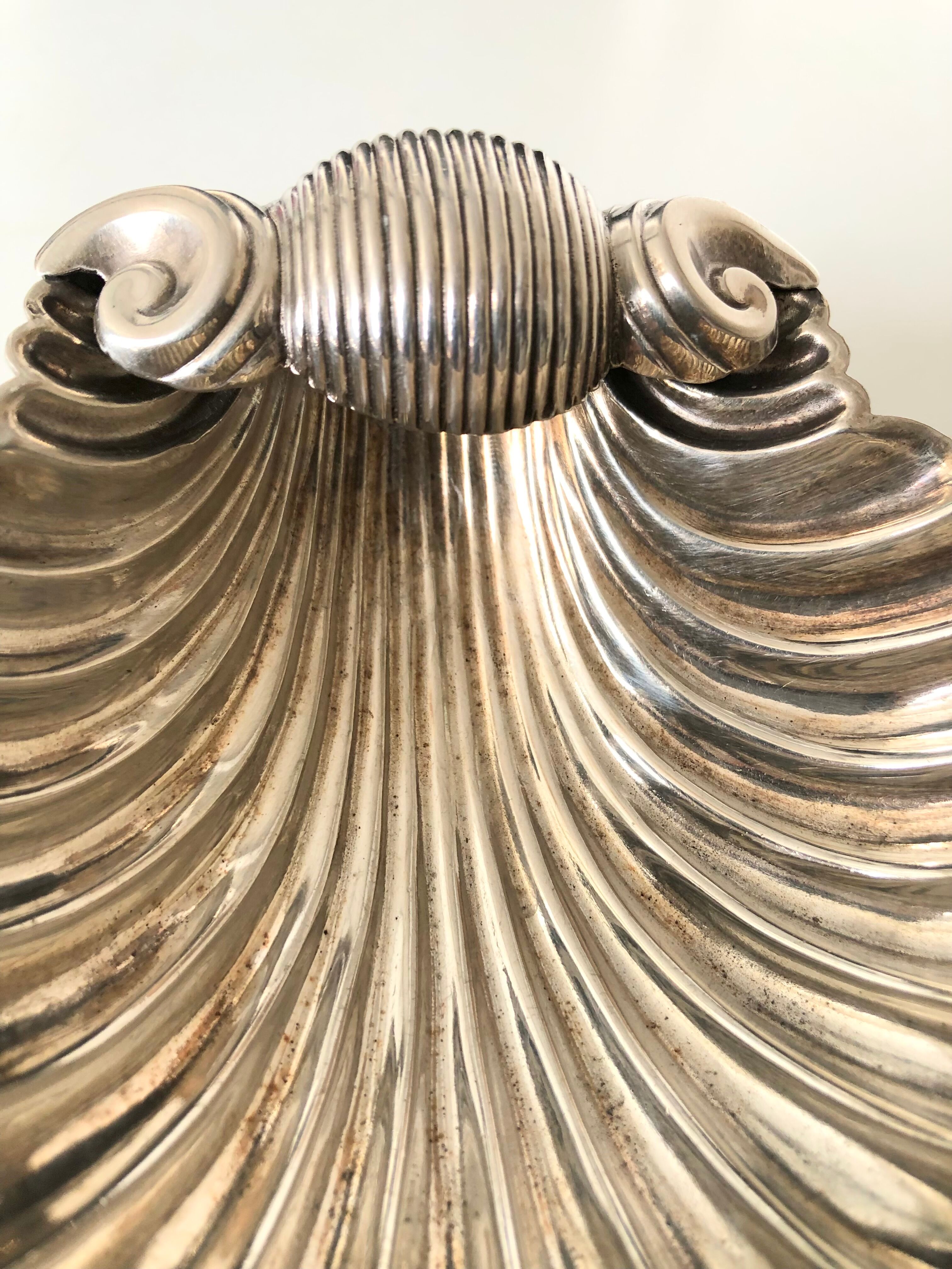 Silver metal shell cut