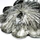 Plat Art Nouveau, Autriche, années 1890