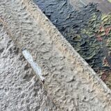 Oil on panel signed Simone Lalanne Bascle