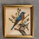 Bird paintings