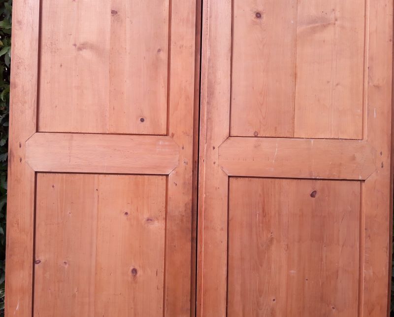 Pair of doors 248x129cm old