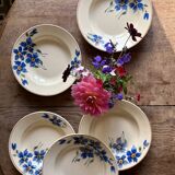 Set of 6 old-fashioned soup plates with blueberry decorations