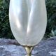 Lamp to lay House Rougier model tulip