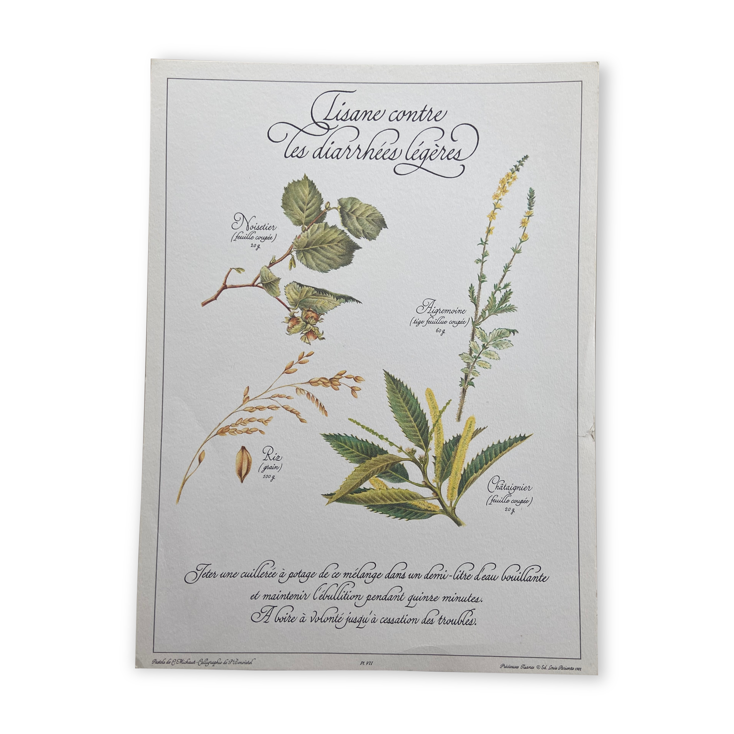 Botanical plank "Tisane against mild diarrhea"