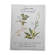 Botanical plank "Tisane against mild diarrhea"