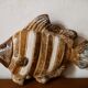 Ceramic fish