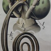 Affiche "papillon"  du 20e siècle Paul Pfurtscheller 1912