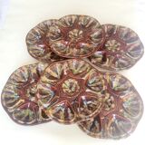 Set of 6 plates slurry scallops