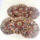 Ensemble de 6 assiettes barbotine coquilles saint jacques