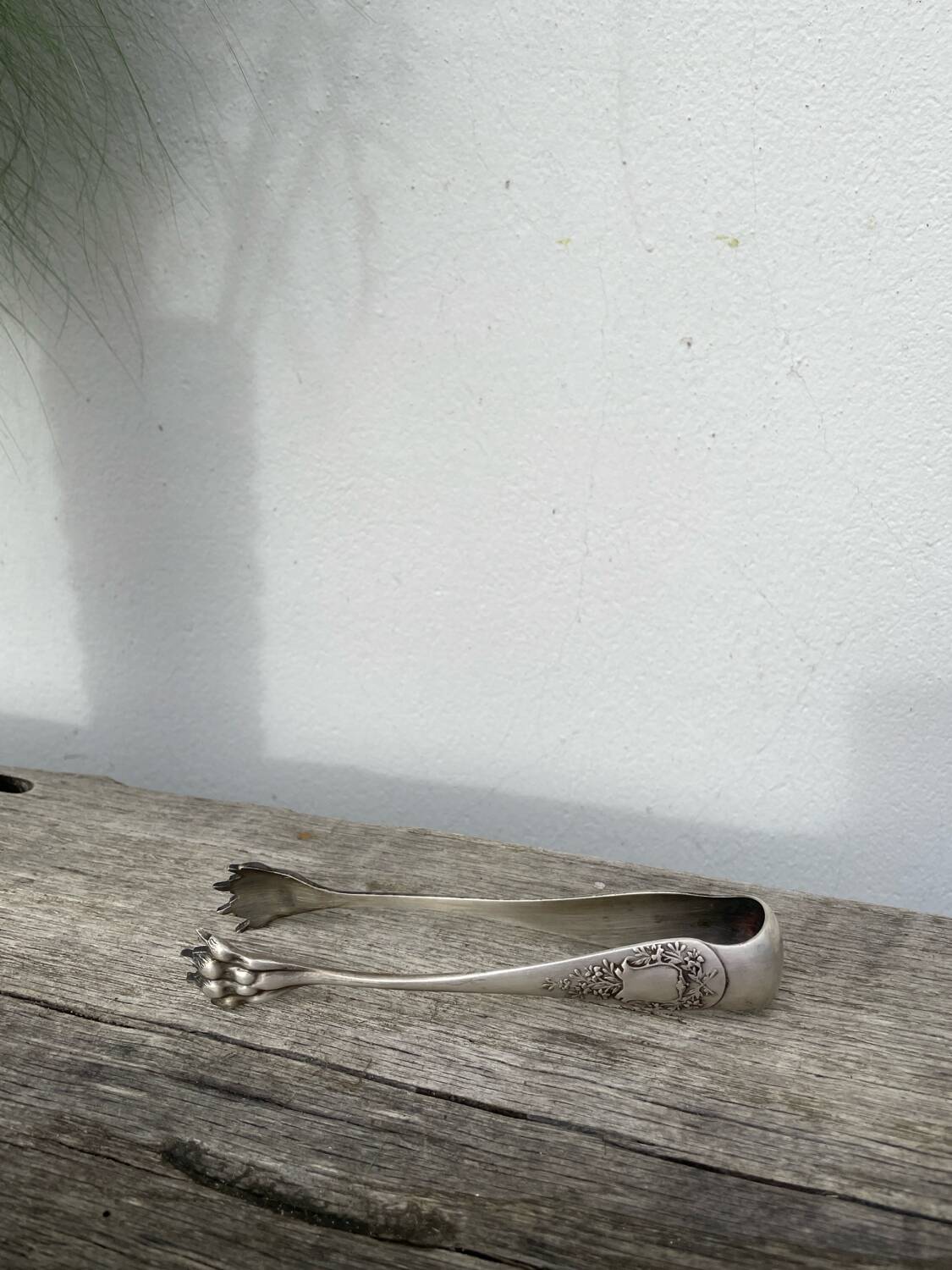 Silver-plated metal sugar tongs