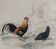 Planche Ornithologique, Buffon 1838 "Coq, Poule, Dindon, Pintade"