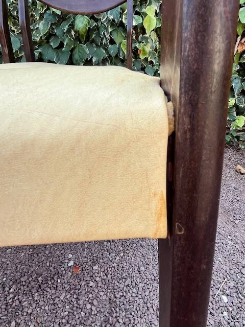 6 Scandinavian chairs with pale yellow skai seats