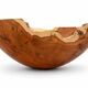 Contemporary monoxyle coupe in fir by Ralph Ribour