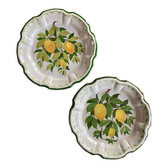 Sweet Perret chin lemon plates