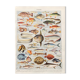 Old illustration Millot "Fish"