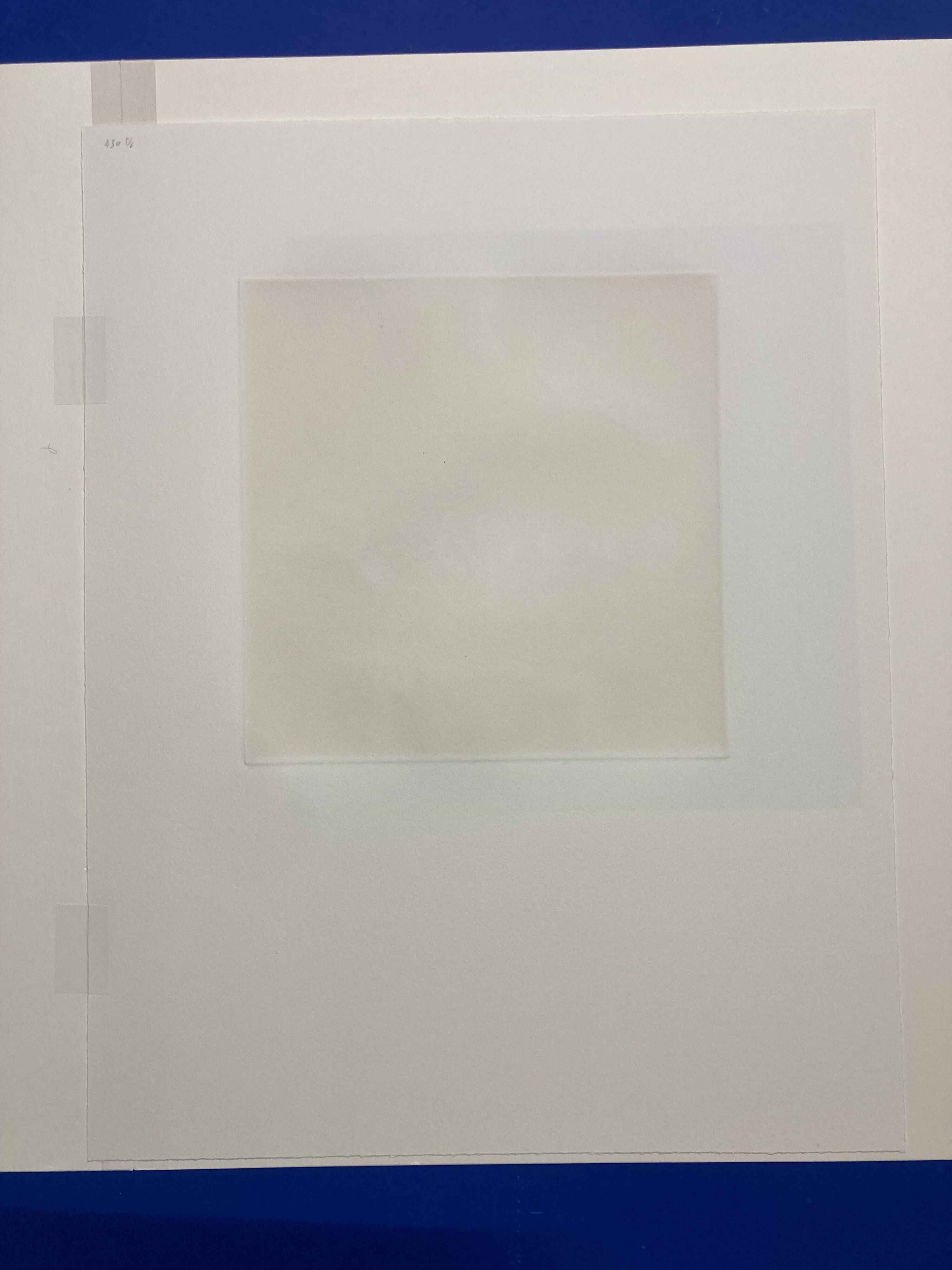 Mario avati (1921-2009), alligator, black and white, 1970