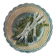 Set of 6 asparagus plates in majolica