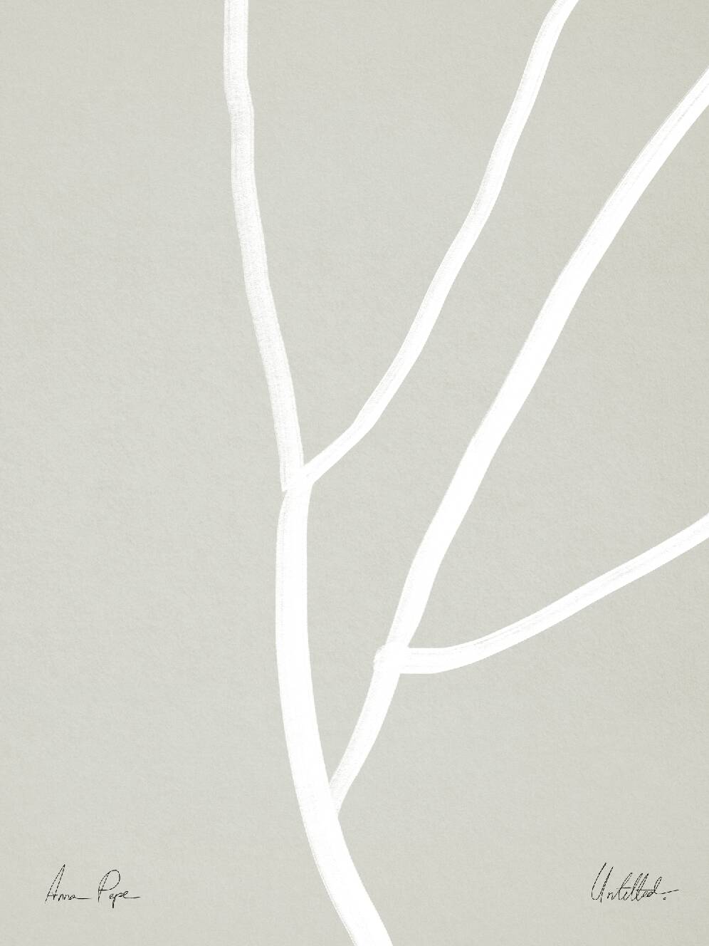 Botanical illustration white lines 50x70cm