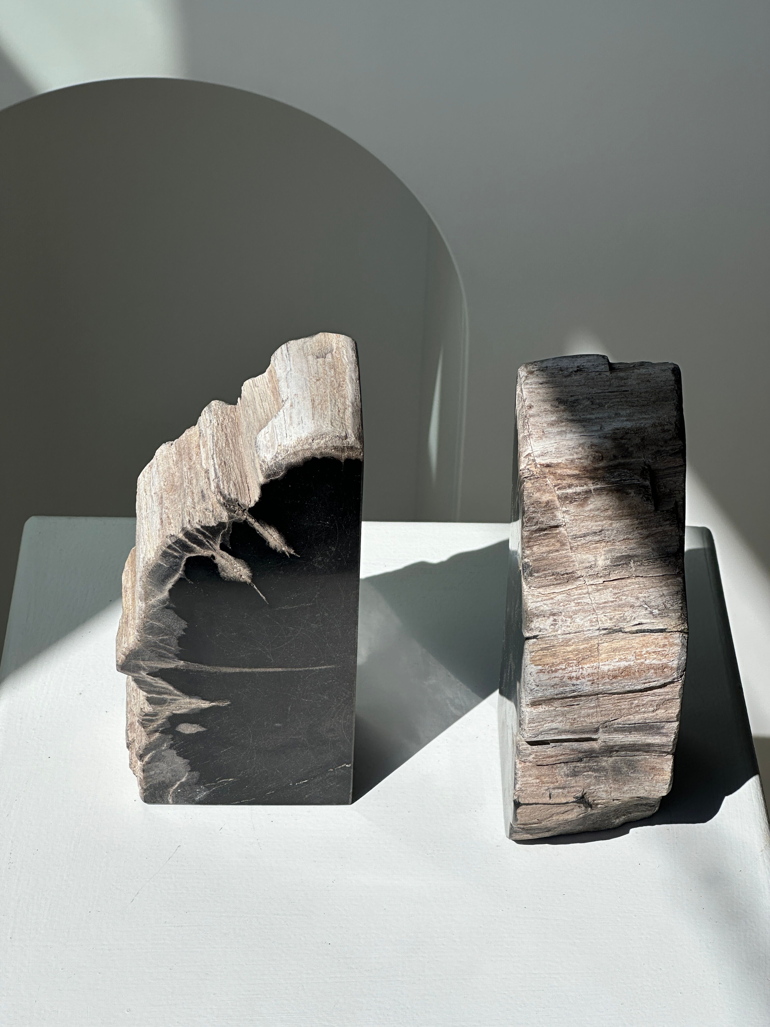 Black petrified wood bookend H17 L17 P6