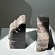 Black petrified wood bookend H17 L17 P6