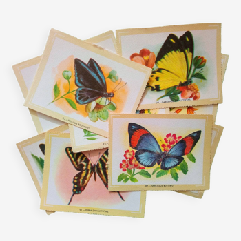 set of zoological posters, butterflies, 1960s
