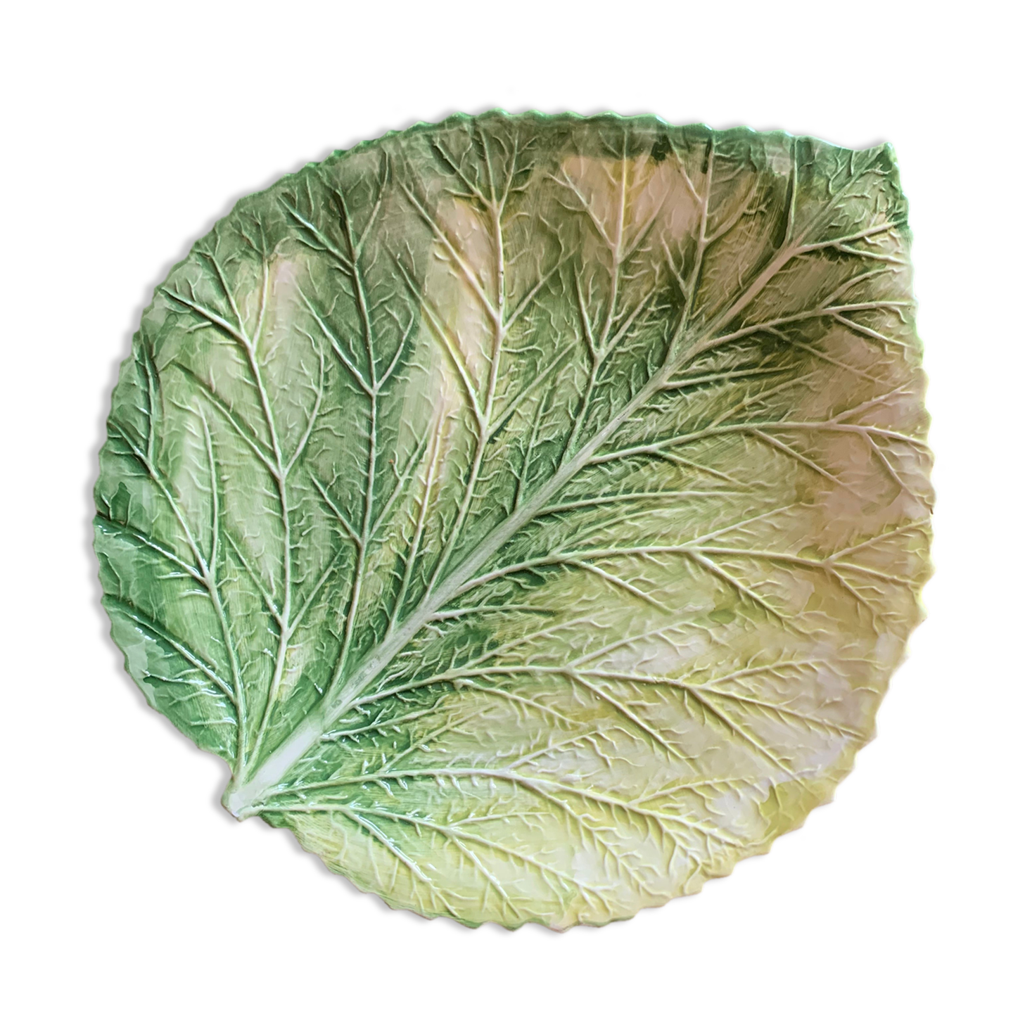 Dish in barbotine monkey "gv" decoration sheet