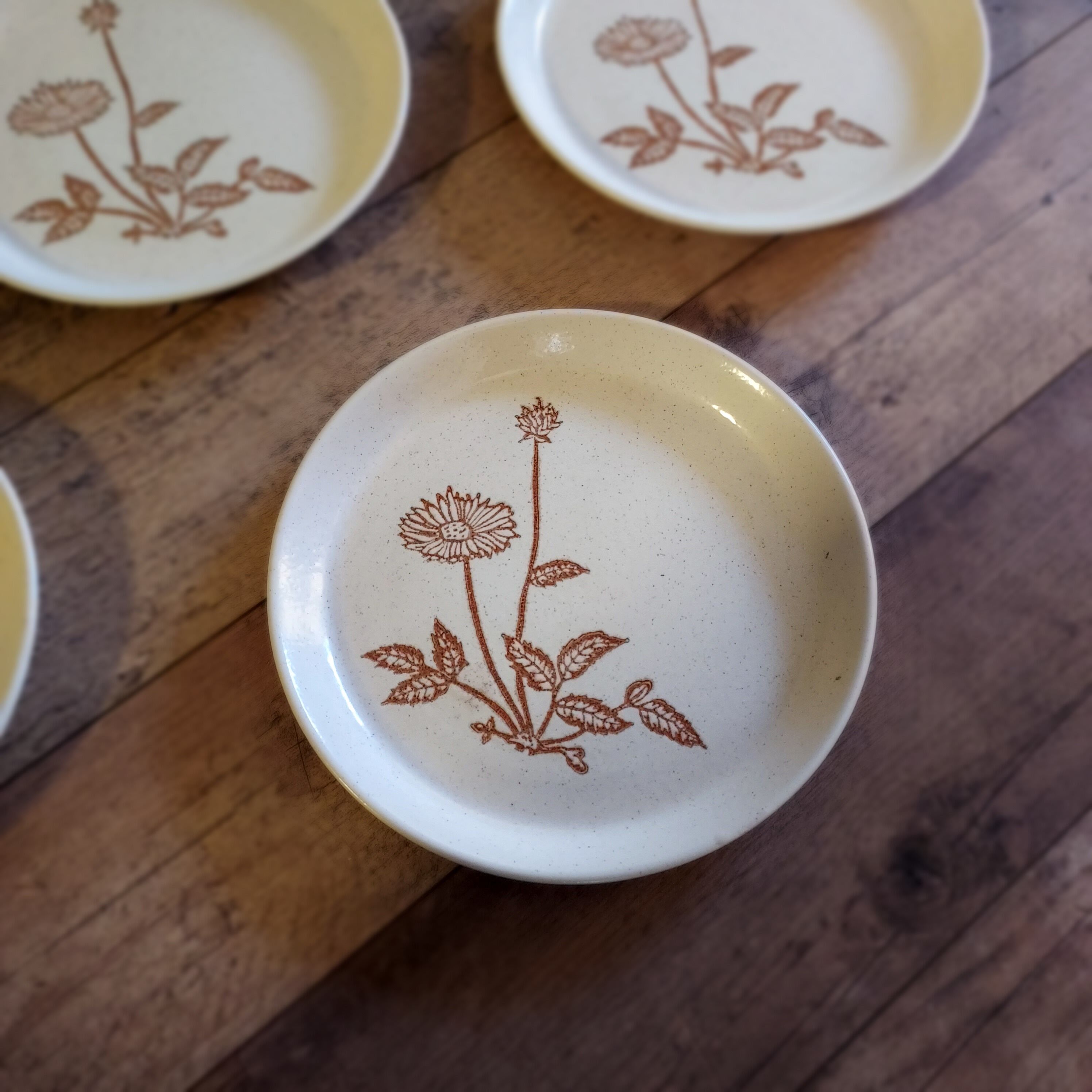 6 plates in light sandstone