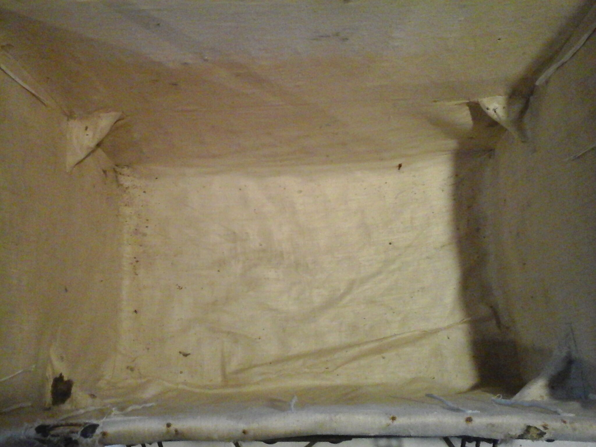 Leather travel trunk