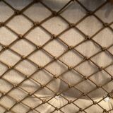 Rare set by JEAN GILLON, TIJUCA salon - 5 pieces - rosewood & leather