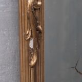 Swedish Antique Rococo Style Tall Pier Mirror 66x252cm