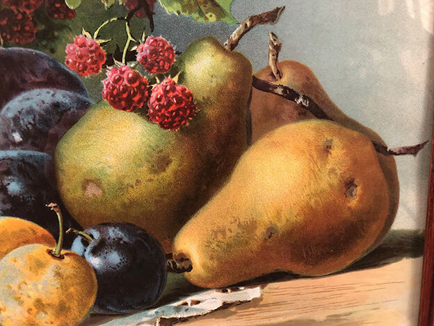 Still life with fruit, framed chromolithograph, under glass
