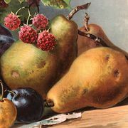 Still life with fruit, framed chromolithograph, under glass