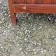 Vintage oak chest of drawers from the 50s compass feet 4 drawers