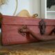 Floral interior brown vintage case