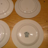 Set of 6 different flat plates