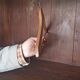 Old wooden wardrobe