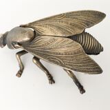 Golden ashtray fly