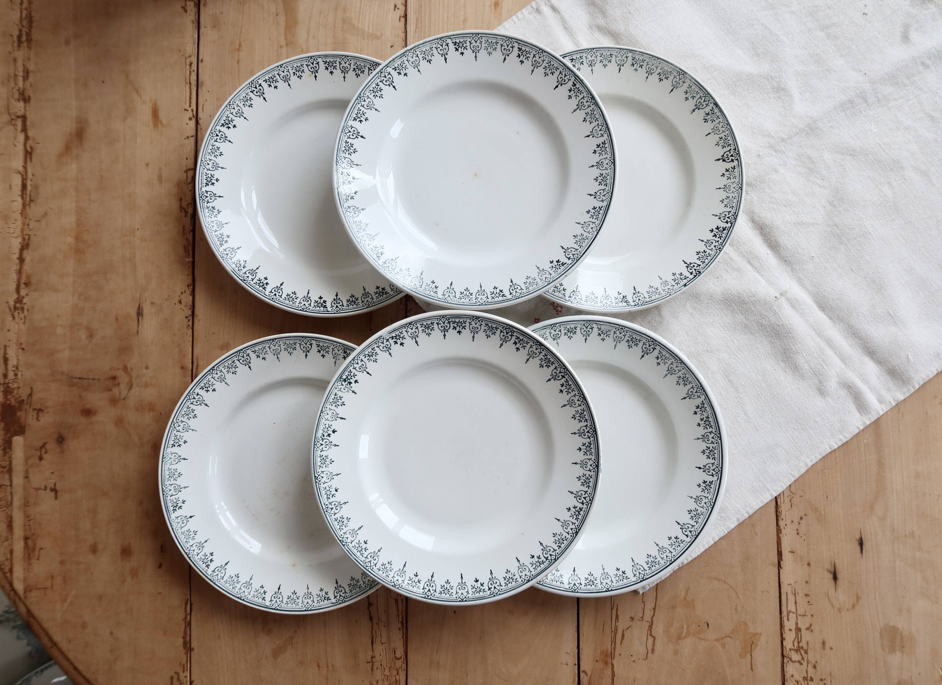 6 vintage plates from Terre de Ter Saint Amandinoise, Saint Amand model 4500.